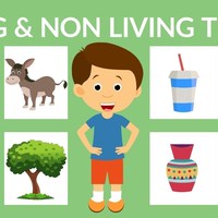 Identifying Living and Nonliving Things
