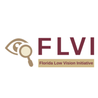 FLORIDA LOW VISION INITIATIVE