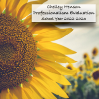 CHELLEY HENSON Professionalism Evaluation