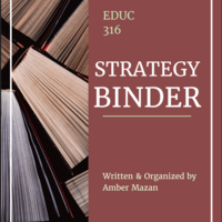 Strategy Binder