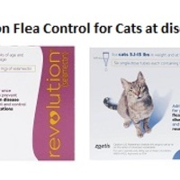 Revolution Flea Control for Cats
