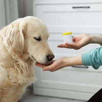 Top-Rated Spot-On Flea and Tick Treatments for Dogs