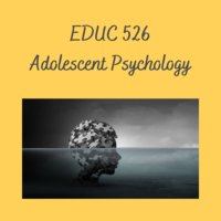 Storm EDUC 526 Adolescent Psychology Binder