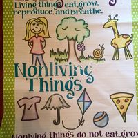Living VS Nonliving