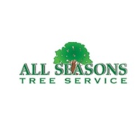All Season's Tree Service and Snow Plowing