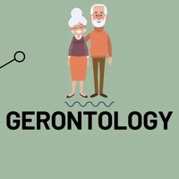 Gerontology Lab - Client Assessments