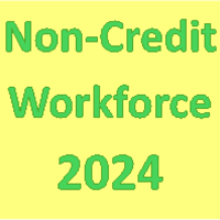 2024-25 AHEIS Manual - Non-Credit Workforce