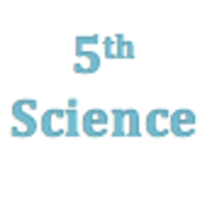 5th Grade Science Curriculum