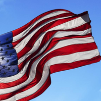 Civics End of the Year Series