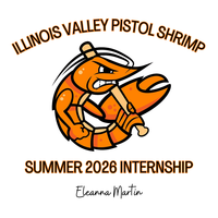 Internship
