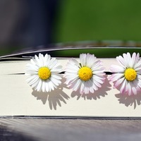 Elyzabeth's Technology Toolkit LiveBinder