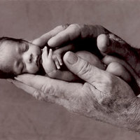 High Risk Pregnancy & Premature Babies