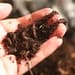 Learning to compost