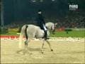 Amazing Horses