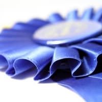 LiveBinders 2014 Top 10 Winners!